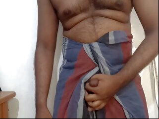 bear asian